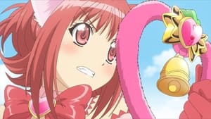 Tokyo Mew Mew New~♡: Saison 1 Episode 1