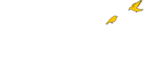 Platonique — Logos 1