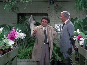 Columbo 2. évad 2. rész