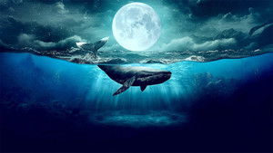 Moon: Nature's Secret Force