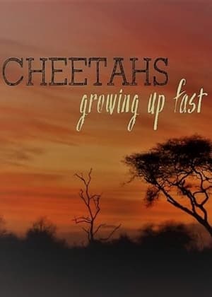 Poster Cheetahs: Growing Up Fast 2017