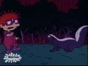 Image Chuckie Gets Skunked