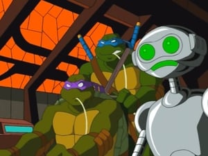 Teenage Mutant Ninja Turtles: 2×5