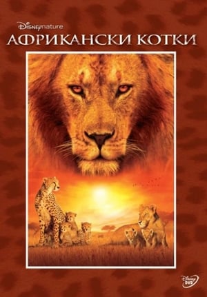 Poster Африкански котки 2011