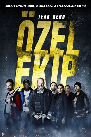 Poster Özel Ekip 2015