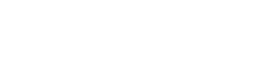 Visitor Q