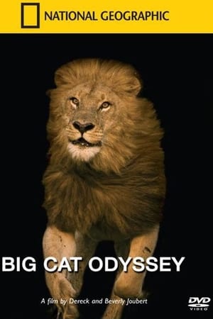 Big Cat Odyssey poster