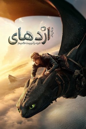 poster How to Train Your Dragon