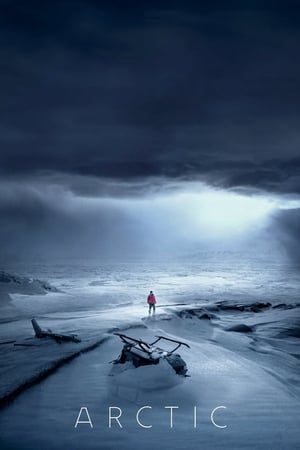 Image Sinh Tồn Ở Bắc Cực