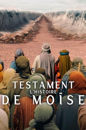 Testament : L'histoire de Moïse movie poster