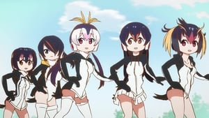 Kemono Friends Episódio 08 – Legendado