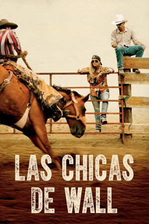 Póster de Las Chicas de Wall - Ver online y descargar en vercinelatino.com