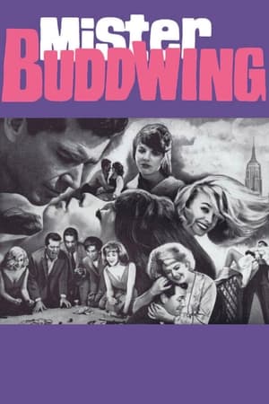 Mister Buddwing poster