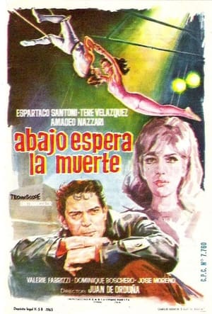 Poster Delitto d'amore (1966)