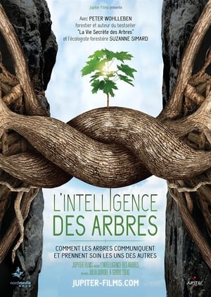 L'intelligence des Arbres film complet