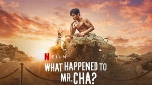 What Happened to Mr Cha?