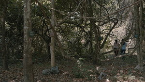 Cemetery of Splendor