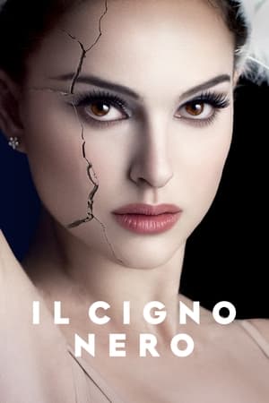 Il cigno nero 2010