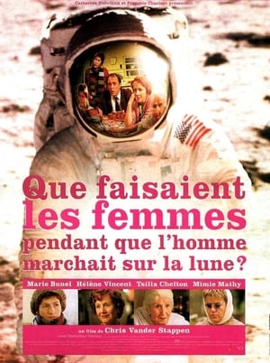 Poster Que faisaient les femmes pendant que l'homme marchait sur la lune? 2001