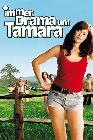 Poster Immer Drama um Tamara 2010