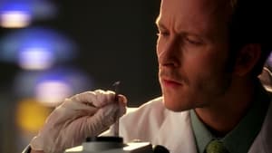 CSI: Miami: 7×19