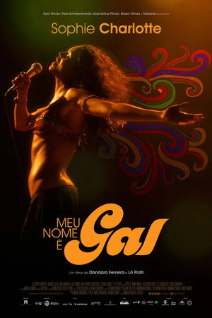 Meu Nome é Gal 15