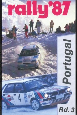 Póster de Rally de Portugal 1989