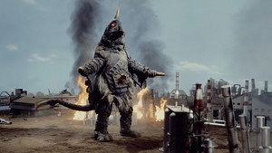 Bemstar Resurrected! Taro Absolutely Expires!