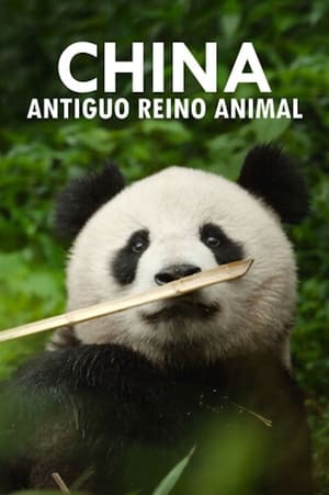 Image China: Antiguo reino animal