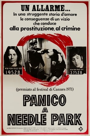 Poster Panico a Needle Park 1971