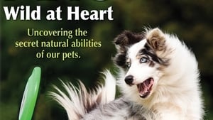 Pets: Wild at Heart Episode 2