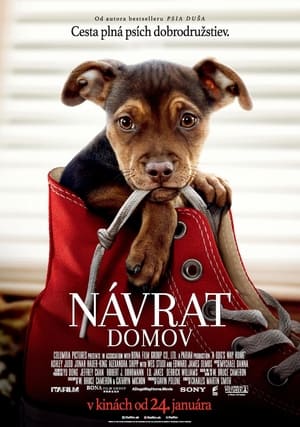 Návrat domov 2019