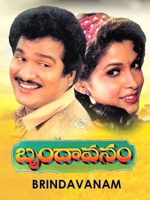 Poster Brindavanam (1992)