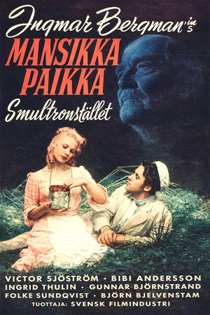 Mansikkapaikka