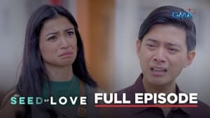 The Seed of Love: Season 1 Full Episode 37