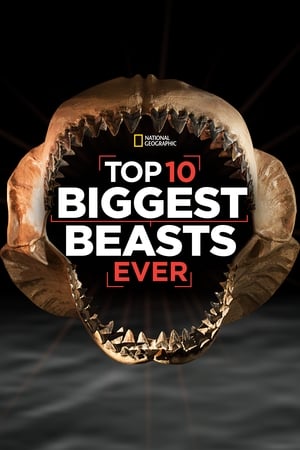 Poster Top 10 Biggest Beasts Ever 2015