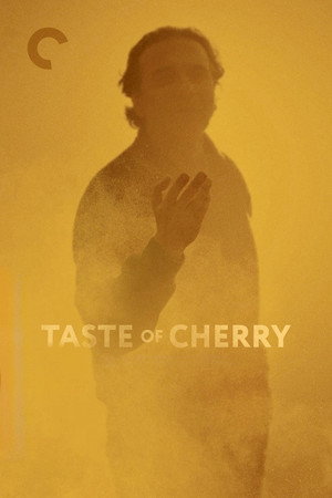 Taste of Cherry 66
