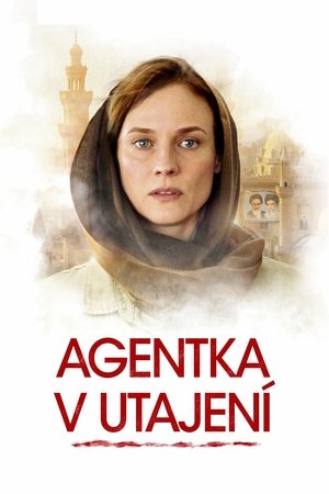 Poster Agentka v utajení 2019