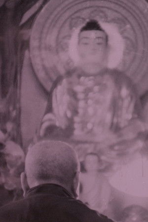 Flowers for an Old Shrine