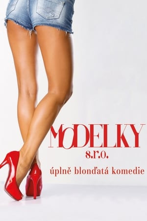 Modelky s.r.o. poster