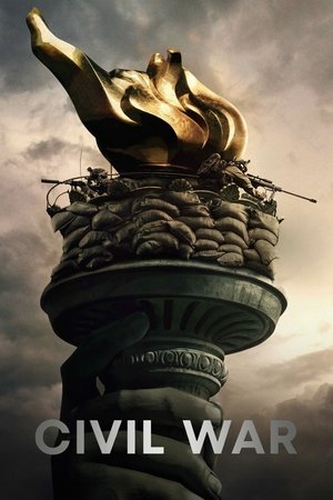 poster Civil War