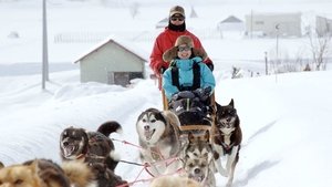 Journeys in Japan: 11×10