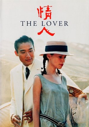 Image 情人