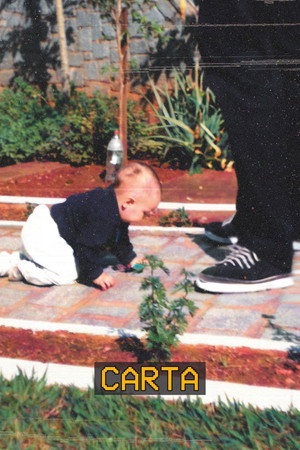 carta 3