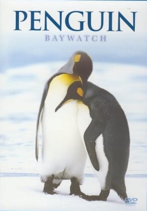 Poster Penguin Baywatch Antarctica 2015