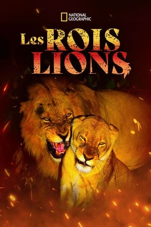 Image Game of Lions
