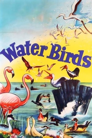 Poster Water Birds 1952