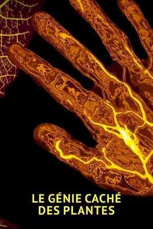 Image Le génie caché des plantes