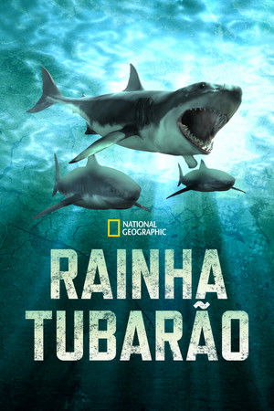 Rainha Tubarão