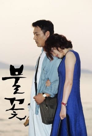 Poster 불꽃 2000